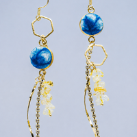 Indigo Gemstone Crystal Tassel Earrings